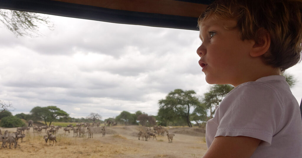 zebra-tarangire-jadore-safaris-tanzania