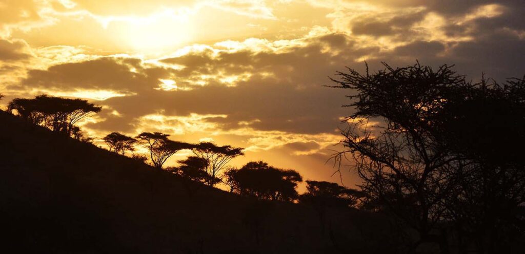 sunset-serengeti-tanzania-jadore-safaris