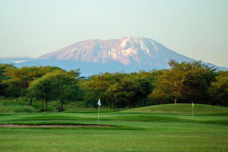 dolly-estate-tanzania