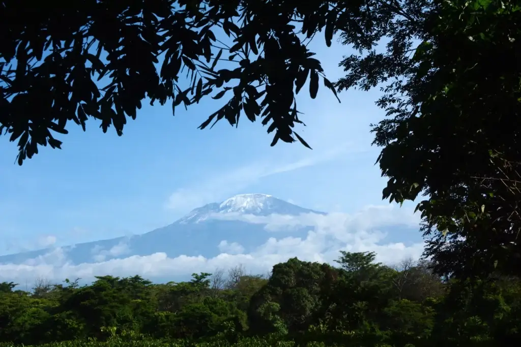 kilimanjaro-tanzania-jadore-safaris