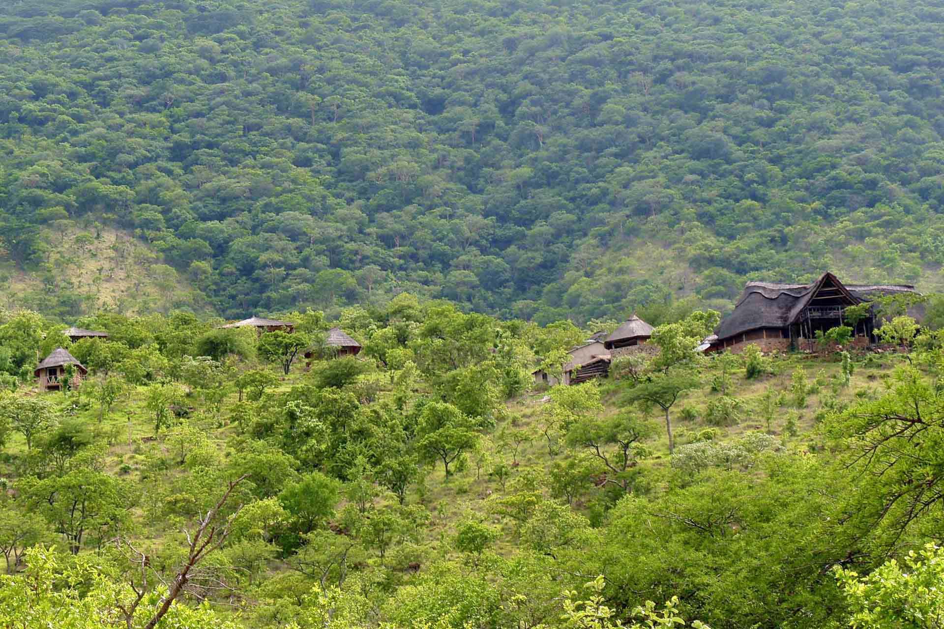 ruaha-hitltop-lodge-tanzania