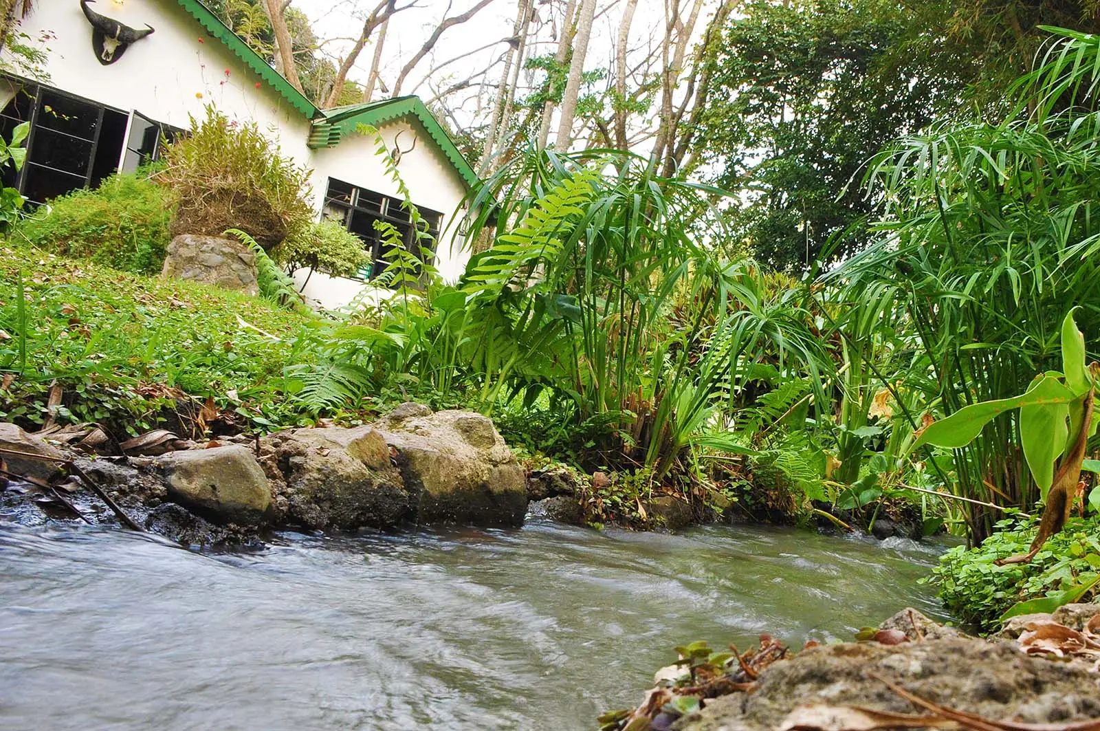 mount-meru-game-lodge-tanzania