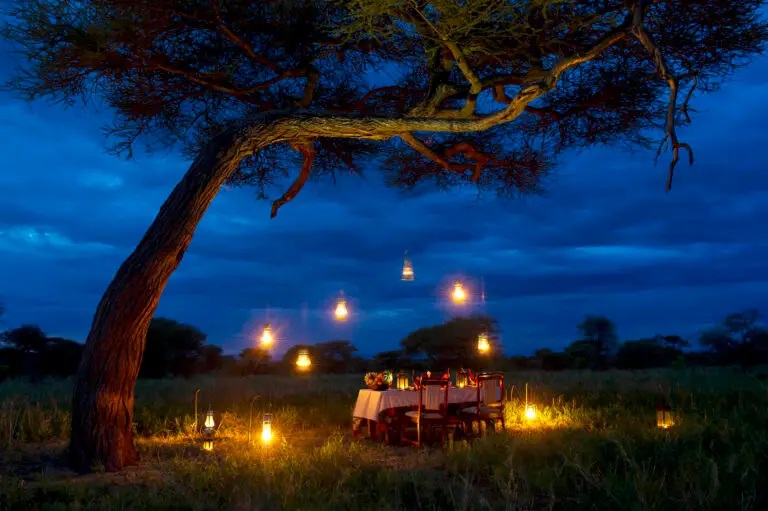 kaskaz-mara-camp-gallery-nasikia-camps-game-drives-tours-tanzania-safaris-africa-dining-under-stars