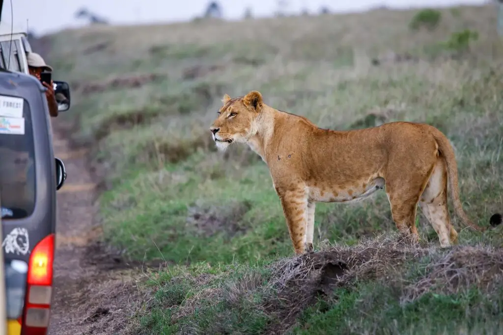 laekipia-kenya-jadore-safaris