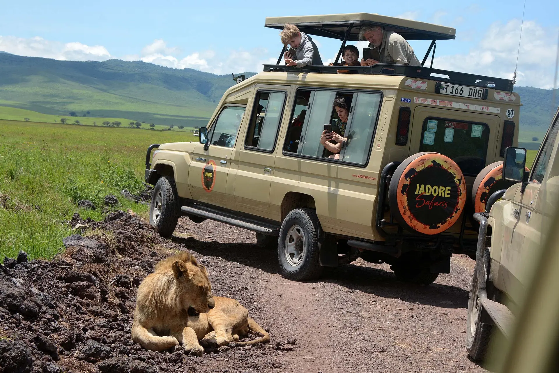 lion-ngorongoro-crater-tanzania-jadore-safaris