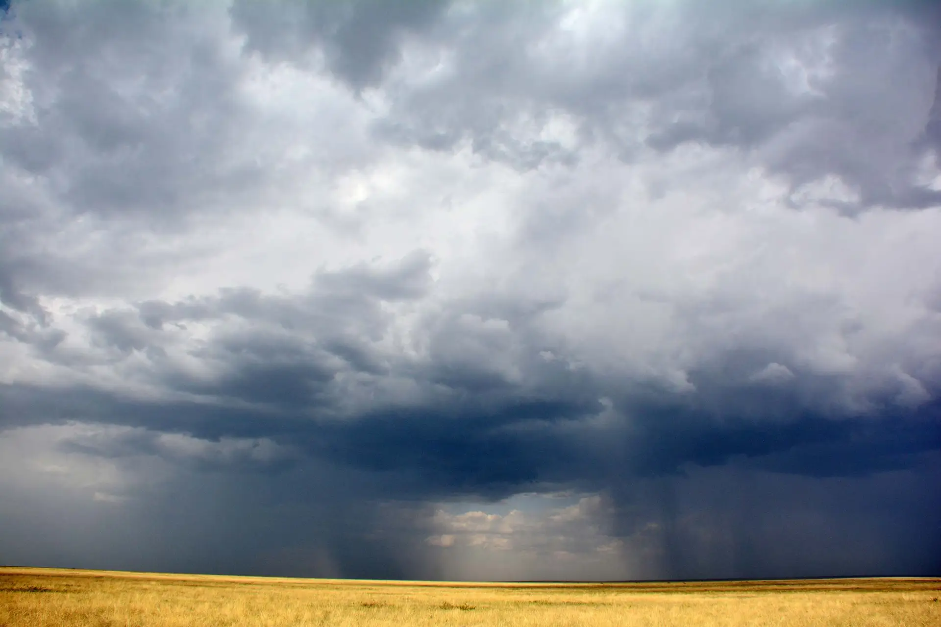 serengeti-jadore-safaris-tanzania