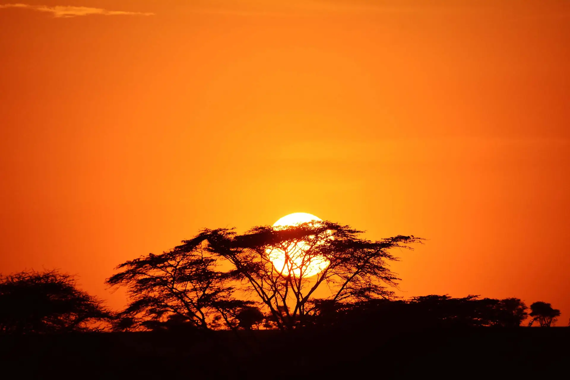 sunrise-serengeti-tanzania-jadore-safaris