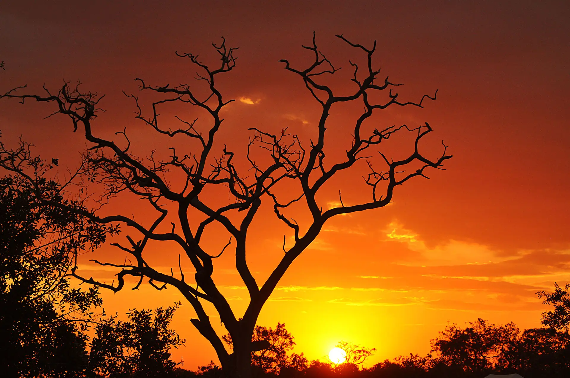 sunset-serengeti-tanzania-jadore-safaris