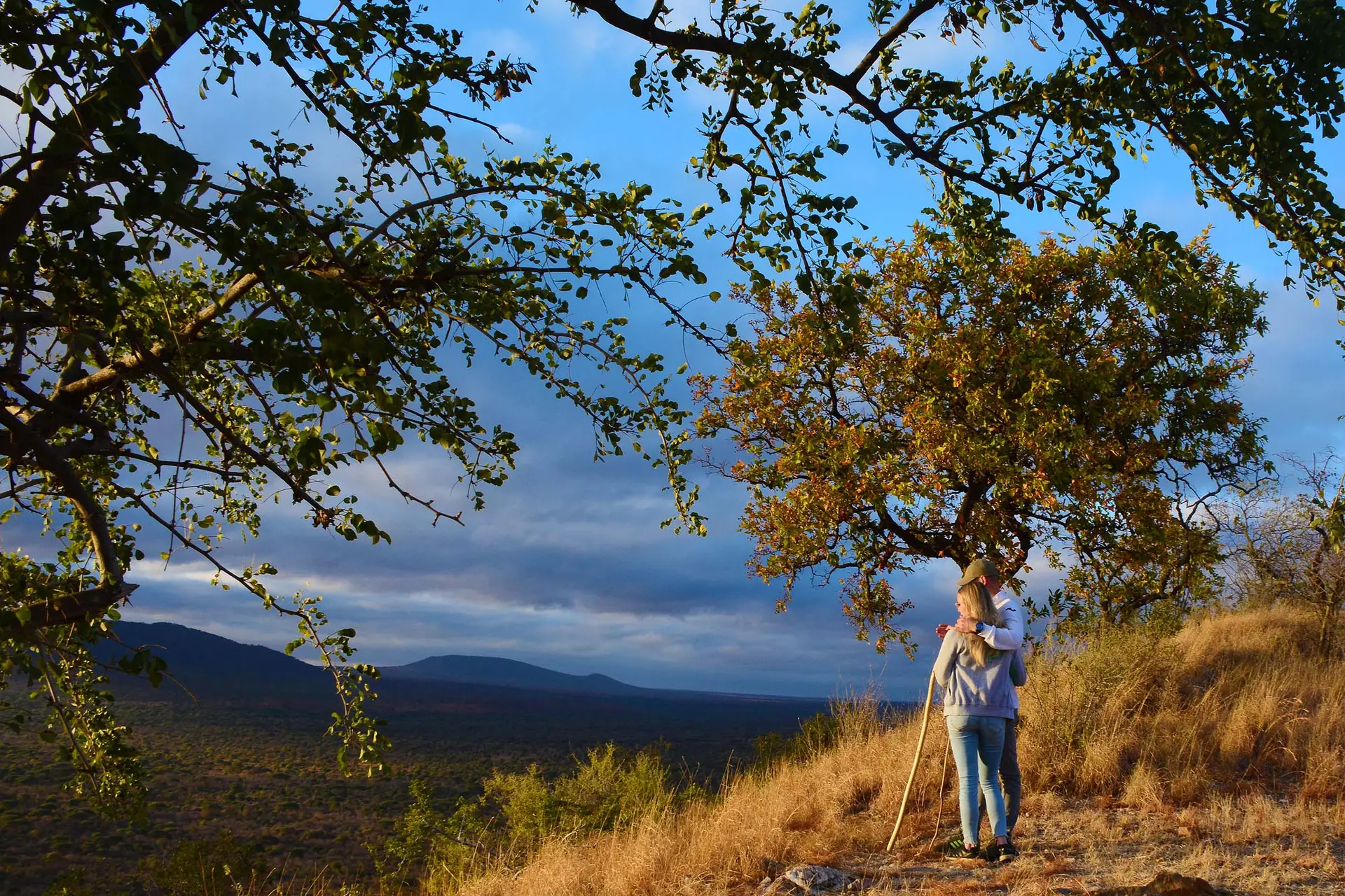 tarangire-tanzania-jadore-safaris