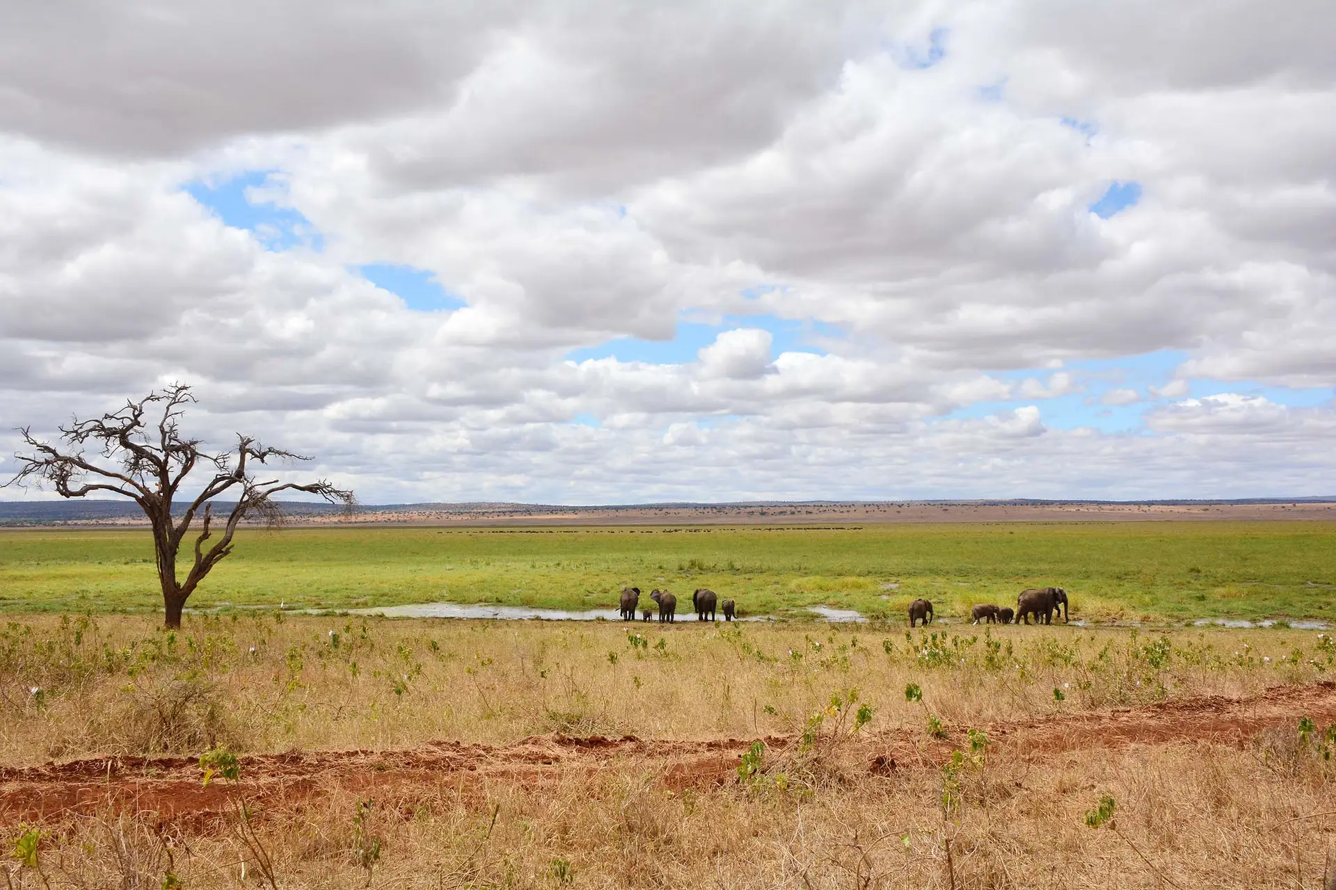 Tarangire-tanzania-jadore-safaris