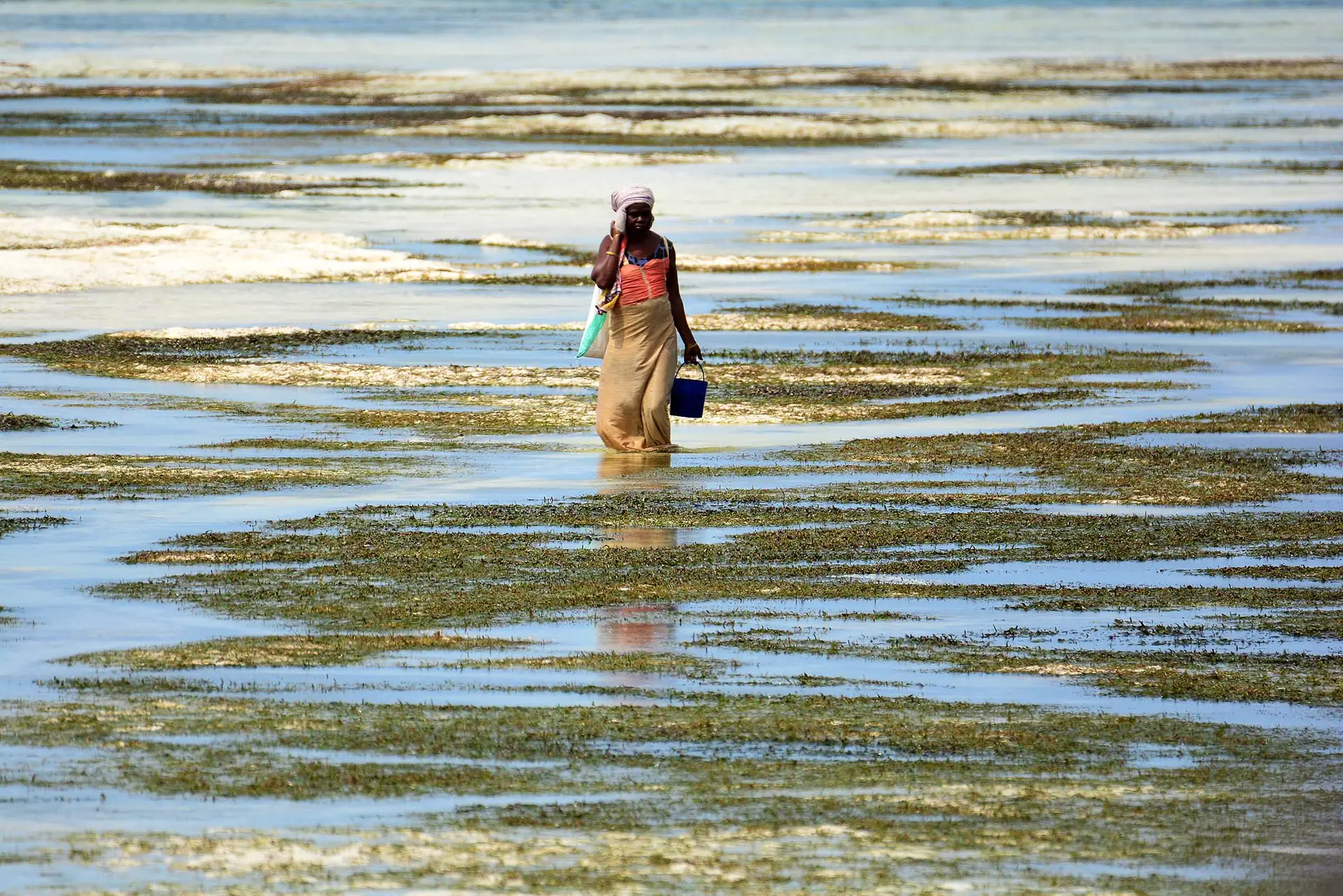 zanzibar-jadore-safaris