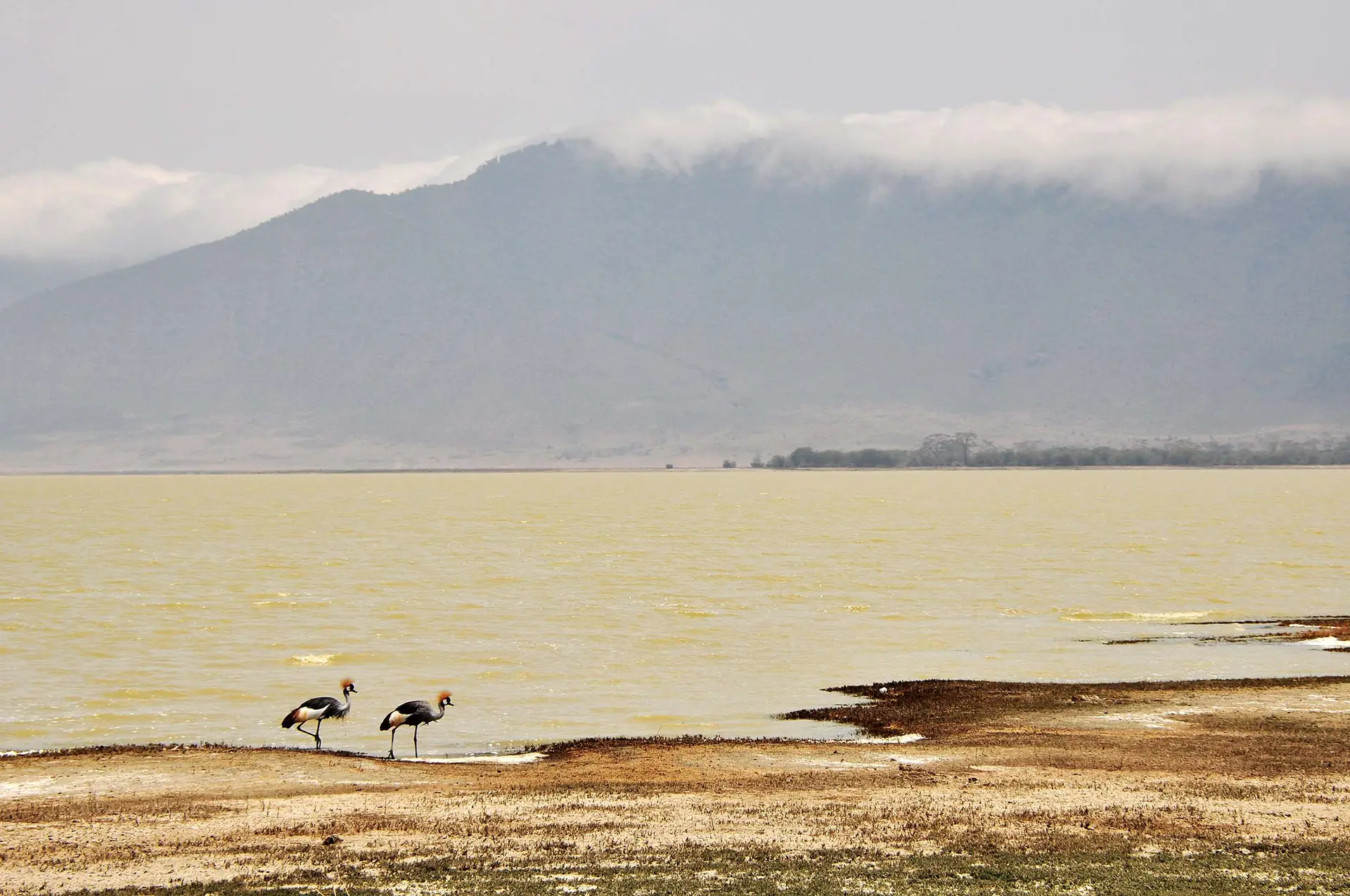 NGORONGORO-tanzania-jadore-safaris