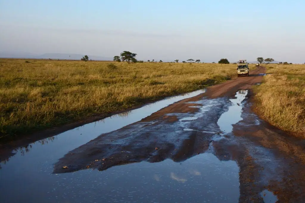 serengeti-tanzania-jadore-safaris