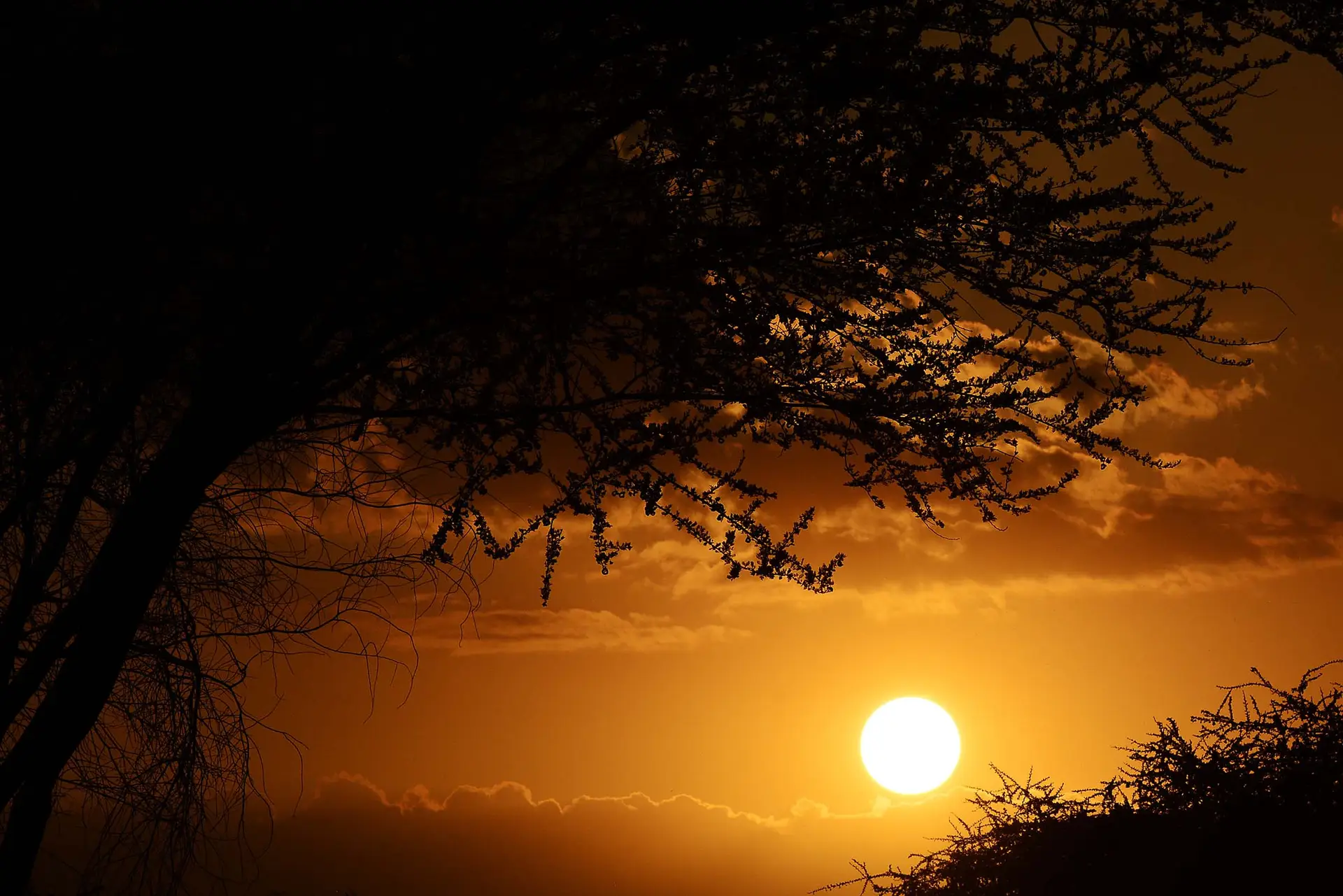 sunset-dolly-estate-jadore-safaris-tanzania