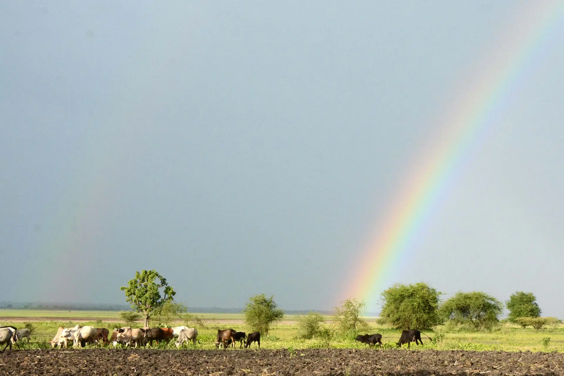 rainbow-tanzania-jadore-safaris