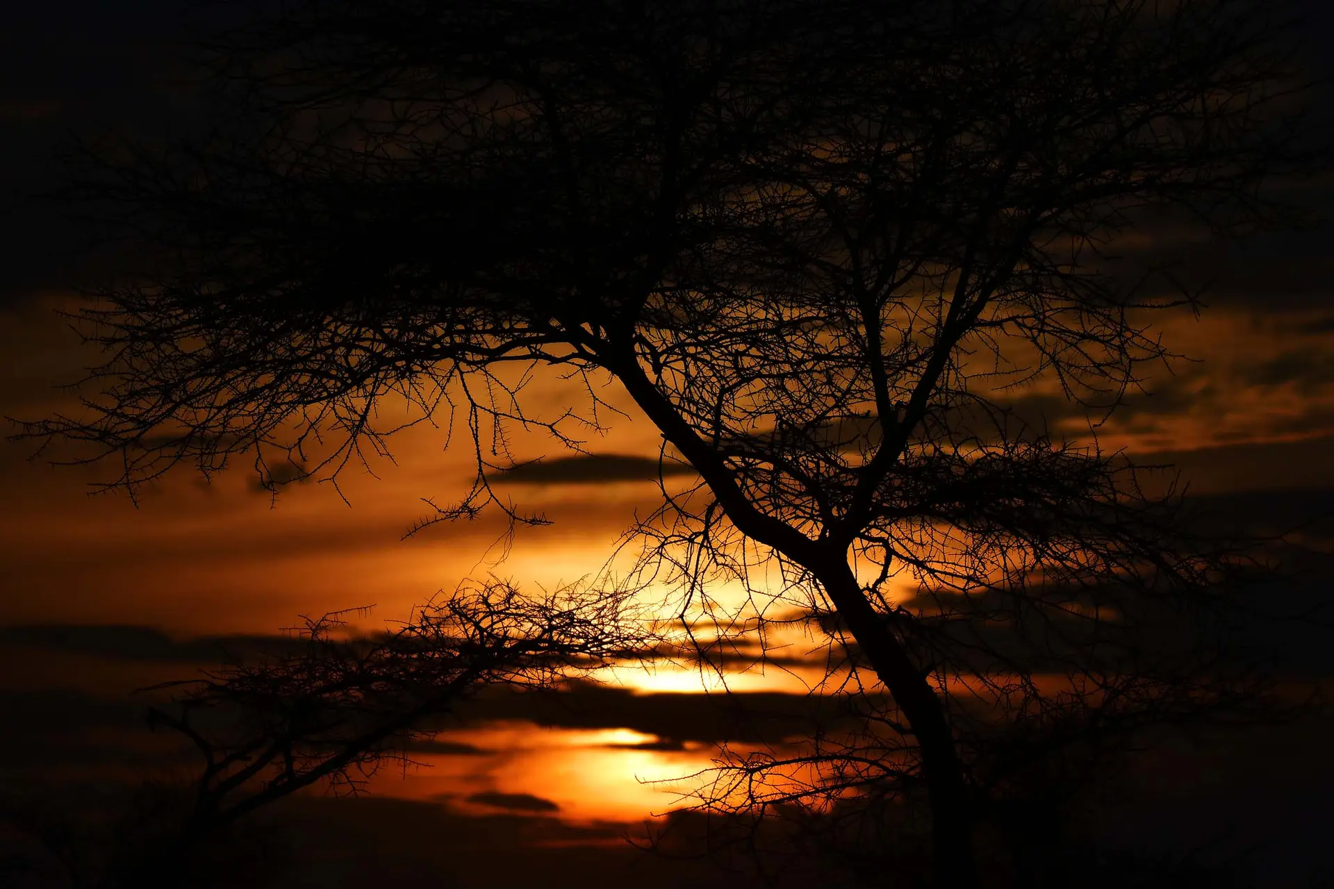 serengeti-tanzania-jadore-safaris-sunset