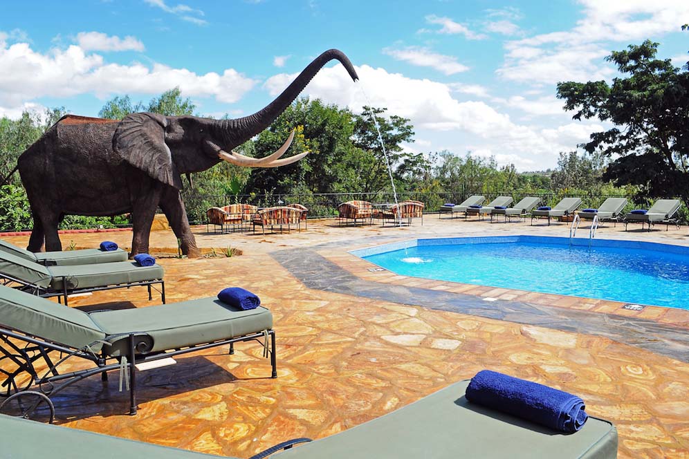 kudu Swimming-pool2