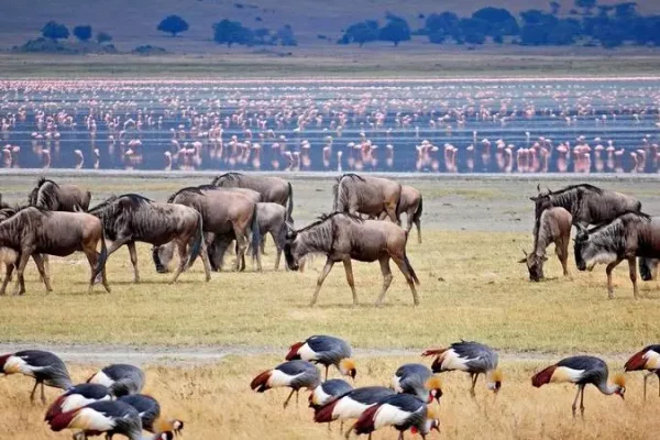 lake-mayara-national-park